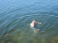  Yep! Ocean swim in early June, believe it or not!
